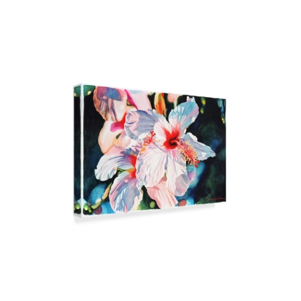 David Lloyd Glover 'Hawaiian Hibiscus' Canvas Art,22x32